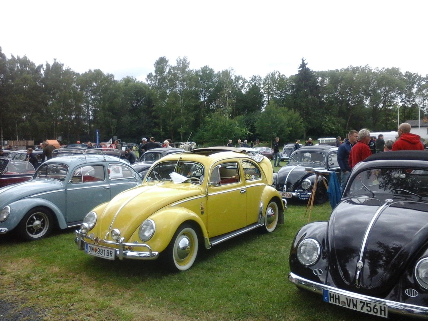 2015-06-19 bis 20 VW-Kfertreffen Bad Camberg